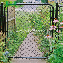 Sale Paint Galvanized Chain Link Fence